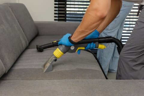 De Voordelen van Professionele Bankreiniging: Geef Je Bank Een Nieuw Leven [2023]